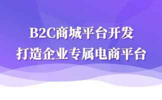 b2c商城具备有的优势之处，b2c网站可以为企业带来什么好处？