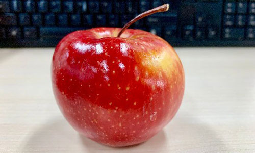 多语言适配全球!核货宝跨境S2B2C系统助力企业数字化跃迁