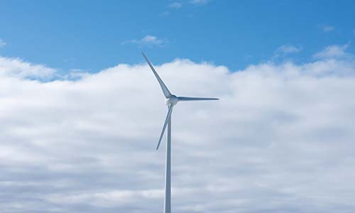 核货宝英国版:中英双语订货系统，赋能华人拓展全球市场