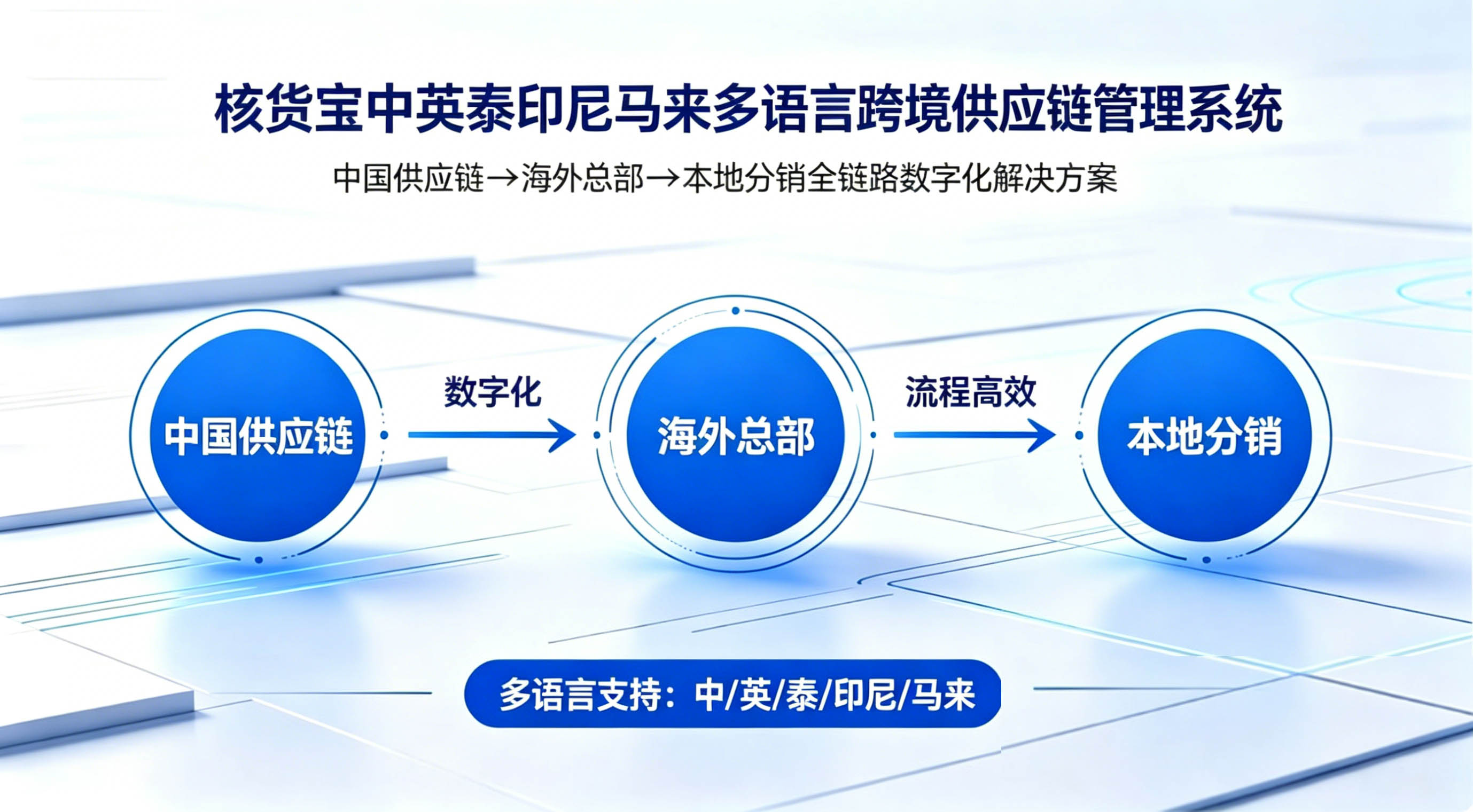 印尼批发商数字化系统